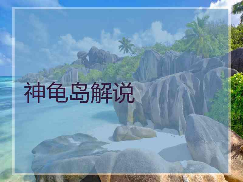 神龟岛解说
