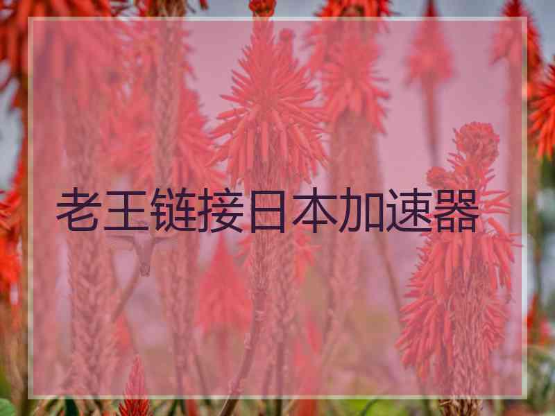 老王链接日本加速器