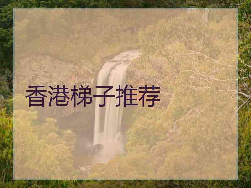 香港梯子推荐