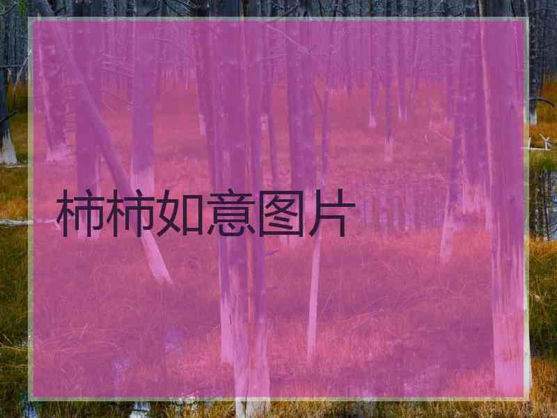 柿柿如意图片