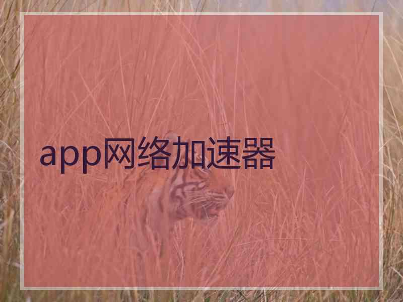 app网络加速器