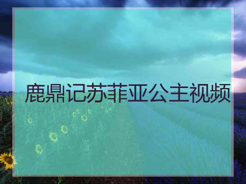 鹿鼎记苏菲亚公主视频