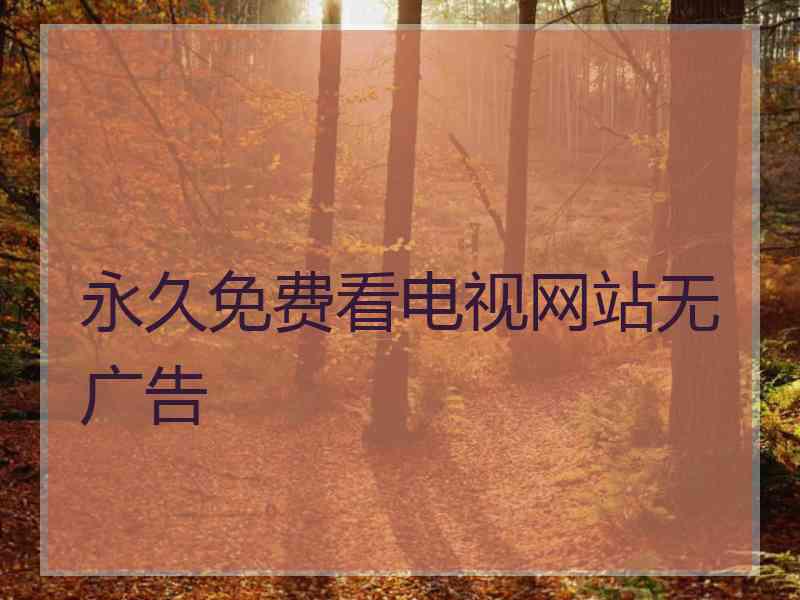 永久免费看电视网站无广告