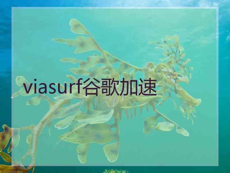 viasurf谷歌加速