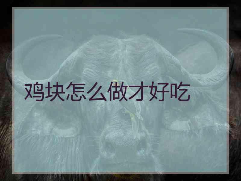 鸡块怎么做才好吃