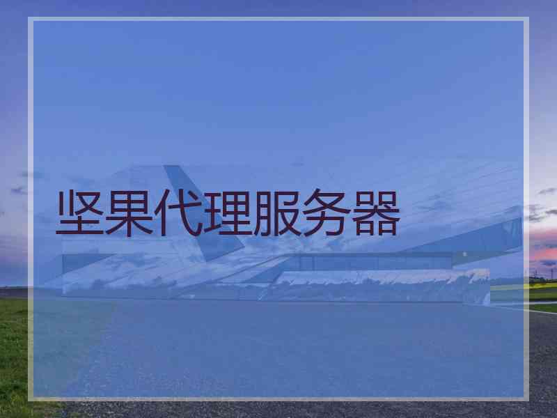 坚果代理服务器