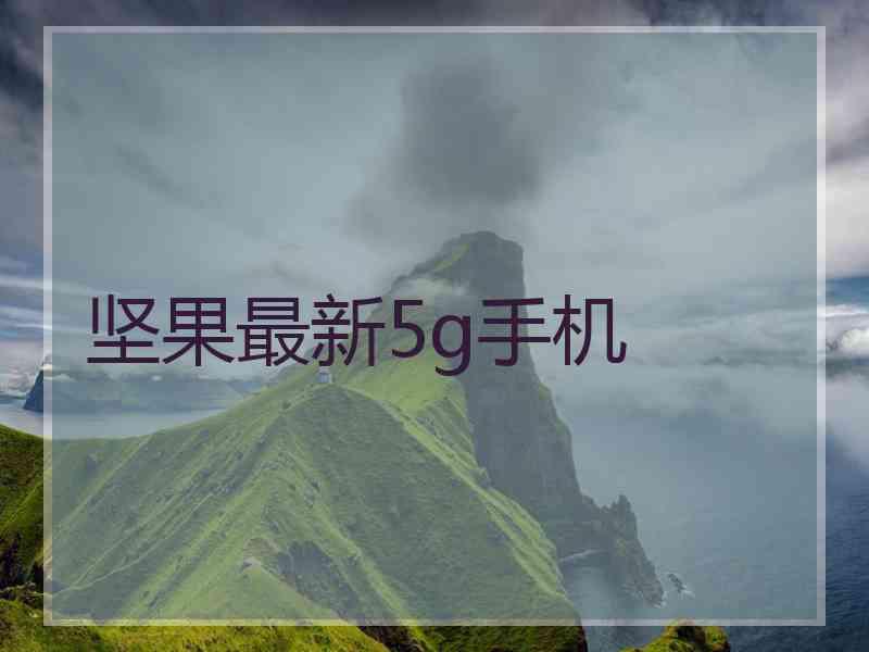 坚果最新5g手机