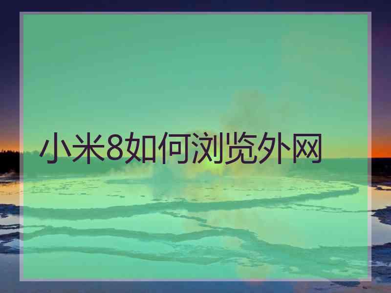 小米8如何浏览外网