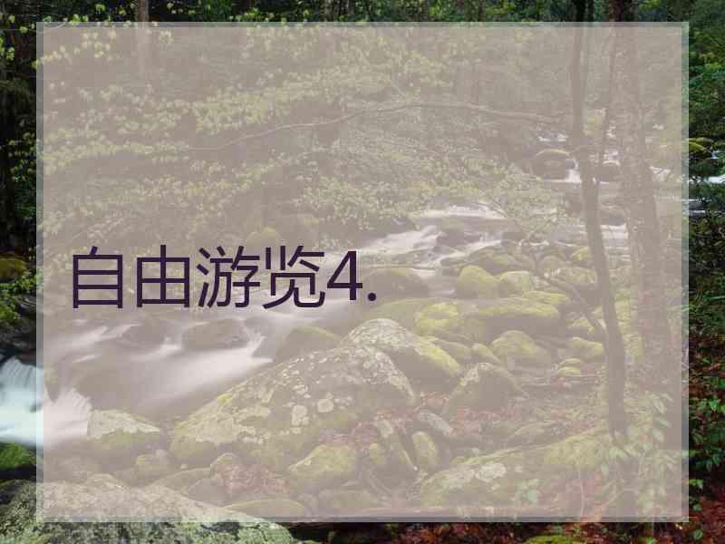 自由游览4.