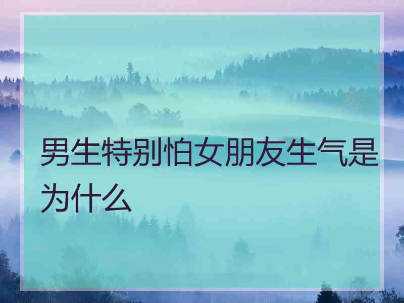 男生特别怕女朋友生气是为什么