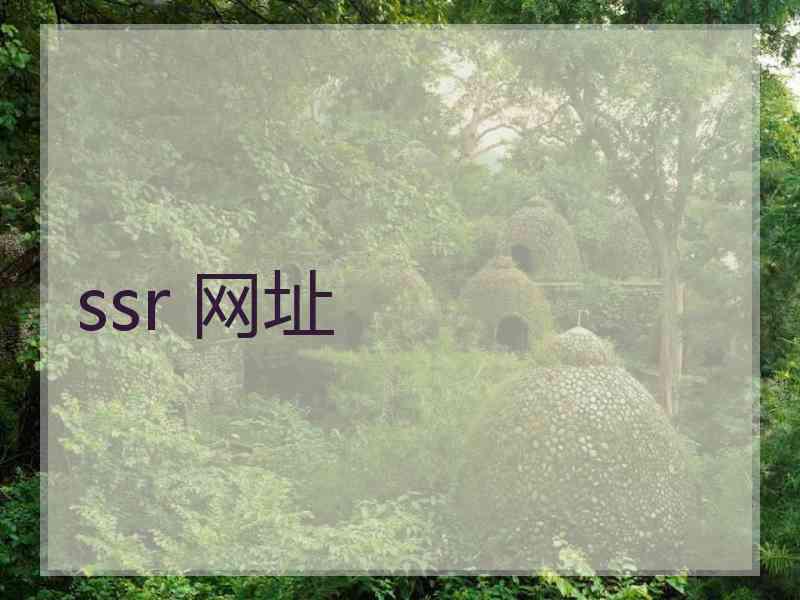 ssr 网址