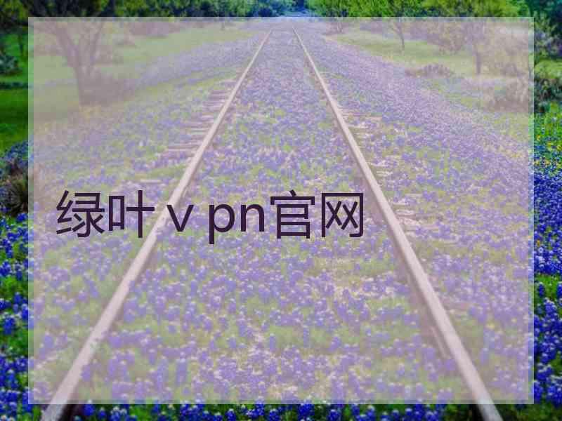 绿叶ⅴpn官网