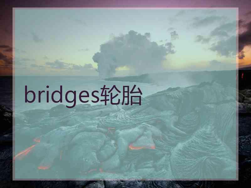 bridges轮胎