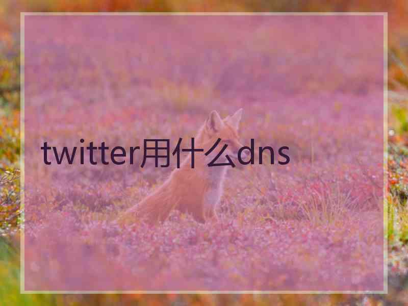twitter用什么dns