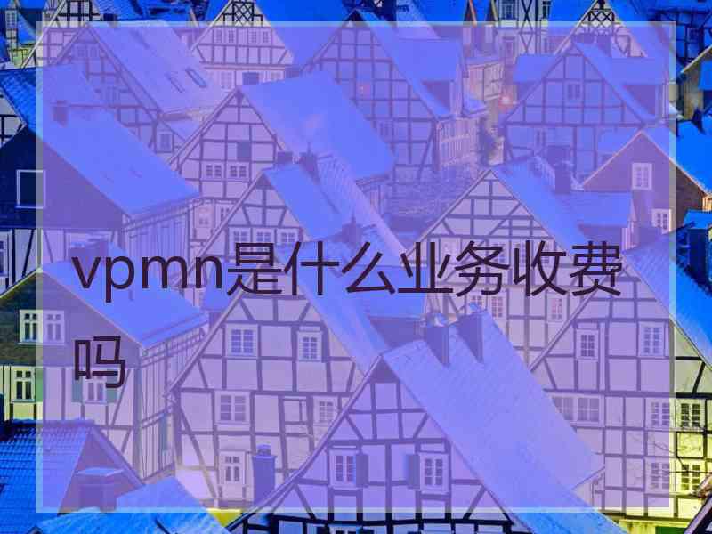vpmn是什么业务收费吗