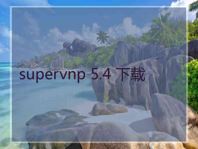supervnp 5.4 下载