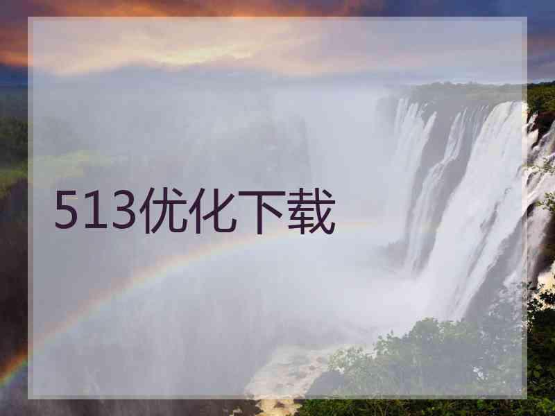 513优化下载