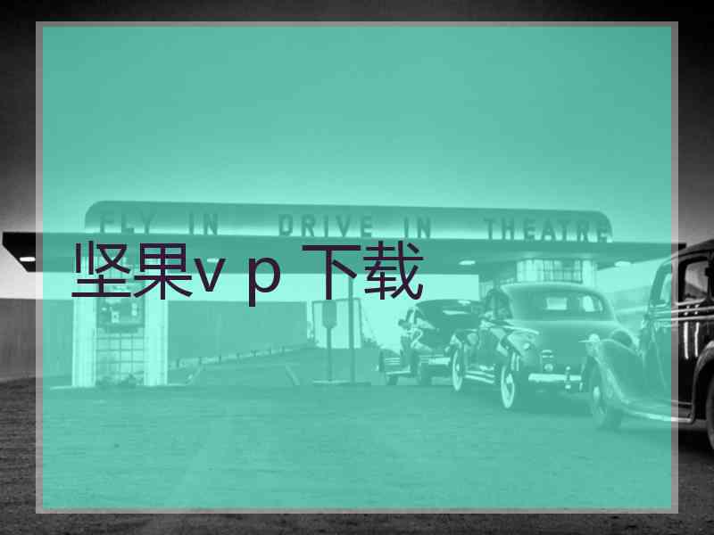 坚果v p 下载