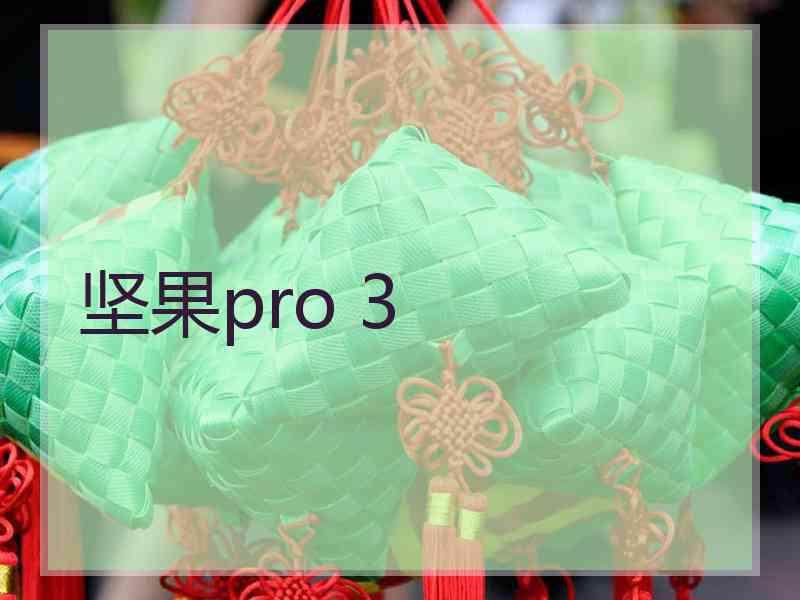 坚果pro 3