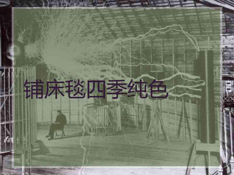 铺床毯四季纯色
