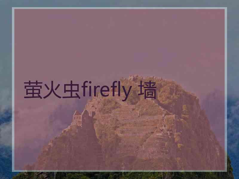 萤火虫firefly 墙