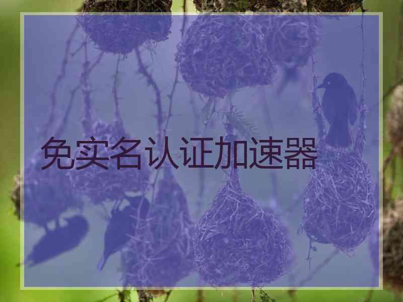 免实名认证加速器