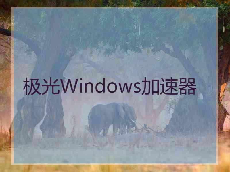 极光Windows加速器