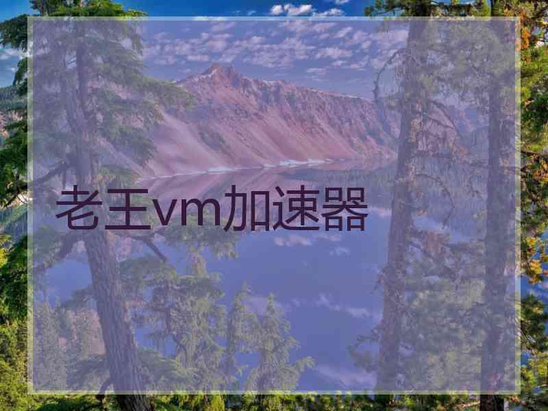 老王vm加速器