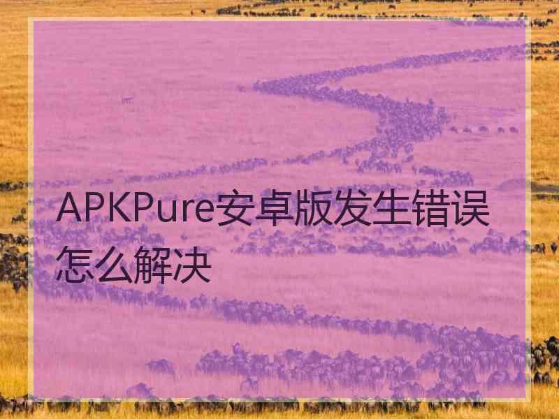 APKPure安卓版发生错误怎么解决