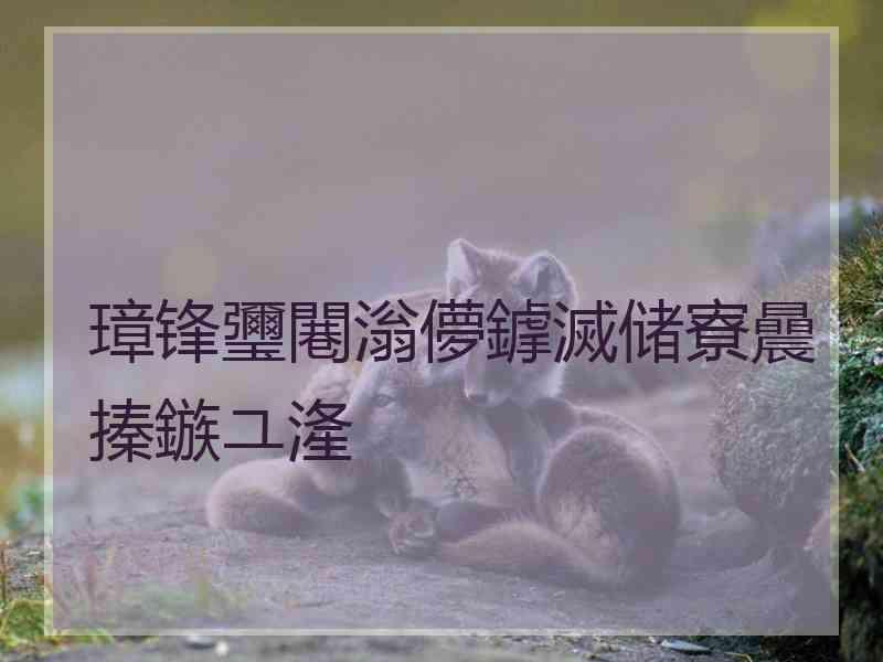 璋锋瓕闀滃儚鎼滅储寮曟搸鏃ユ湰
