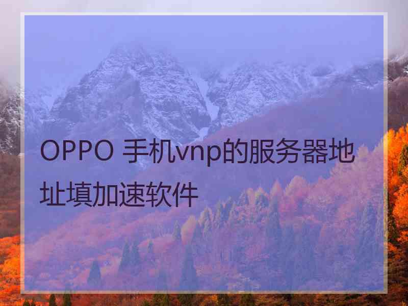 OPPO 手机vnp的服务器地址填加速软件