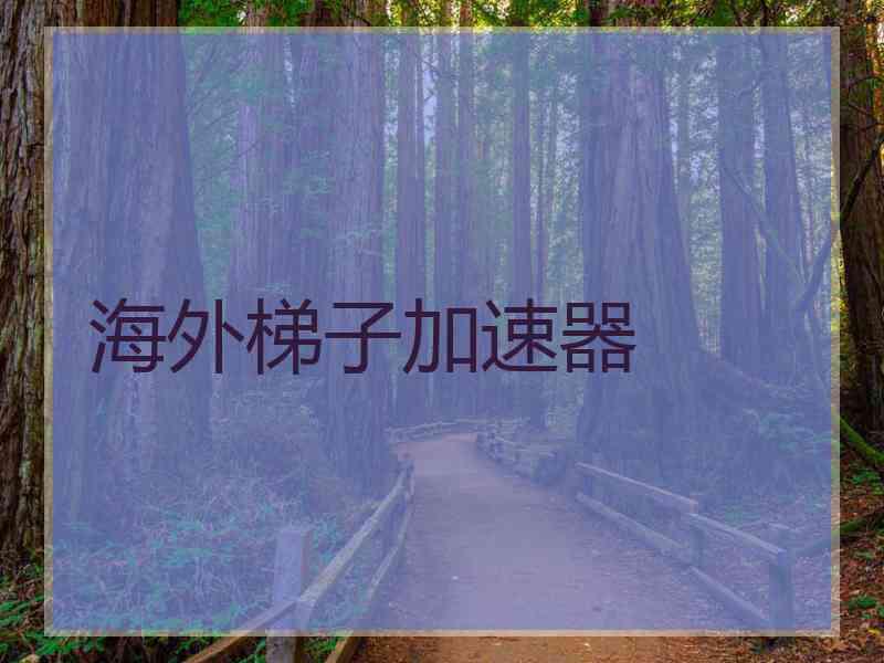 海外梯子加速器