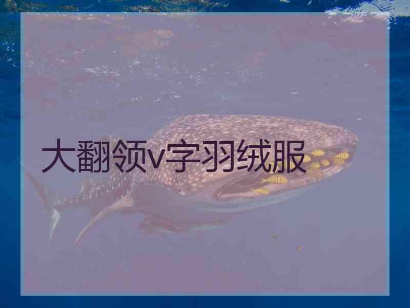 大翻领v字羽绒服