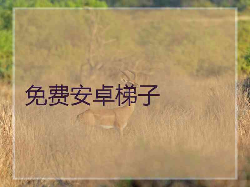 免费安卓梯子