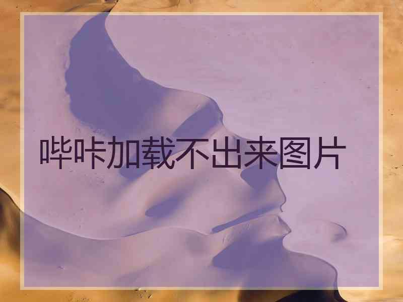 哔咔加载不出来图片