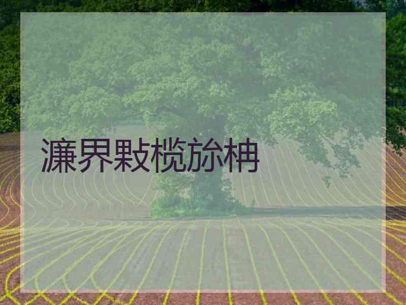 濂界敤榄旀柟