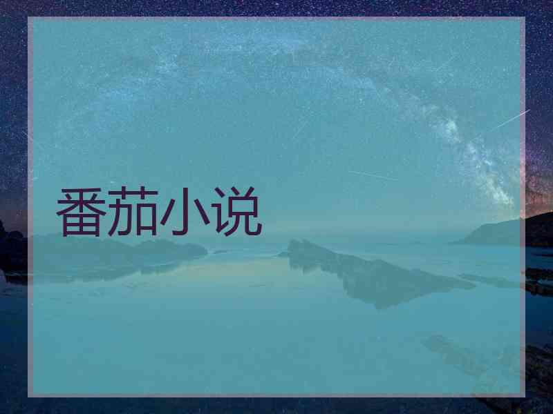 番茄小说