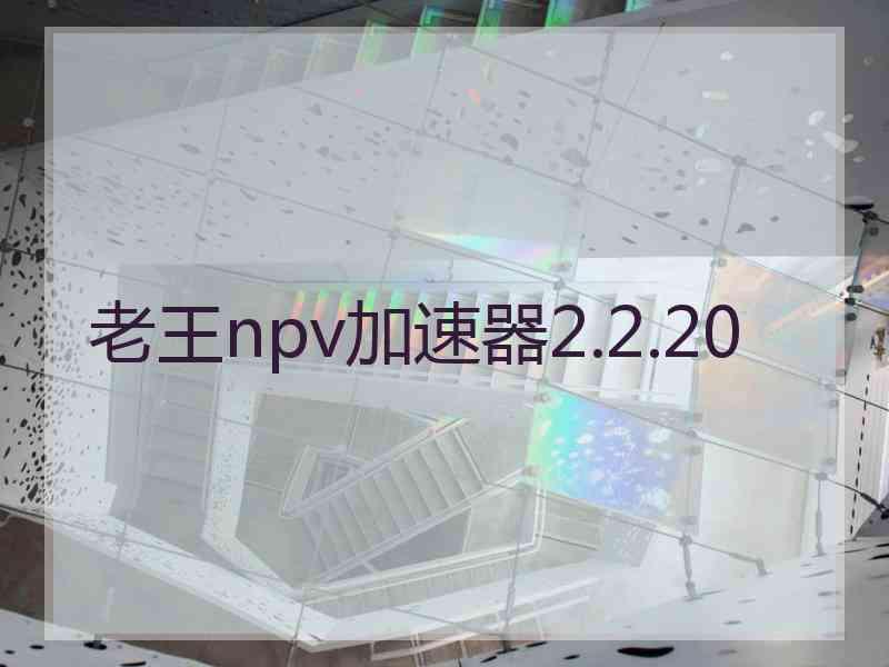 老王npv加速器2.2.20