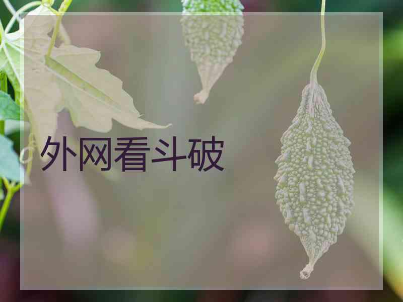 外网看斗破