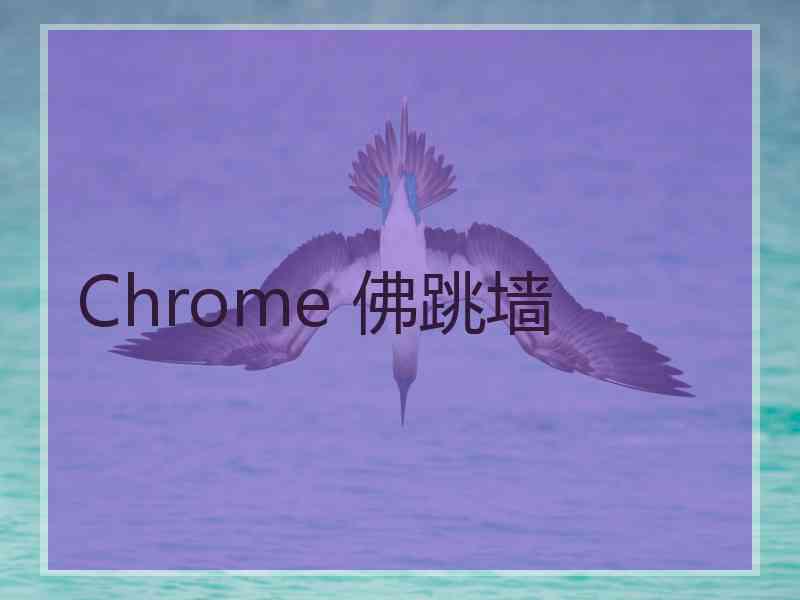 Chrome 佛跳墙