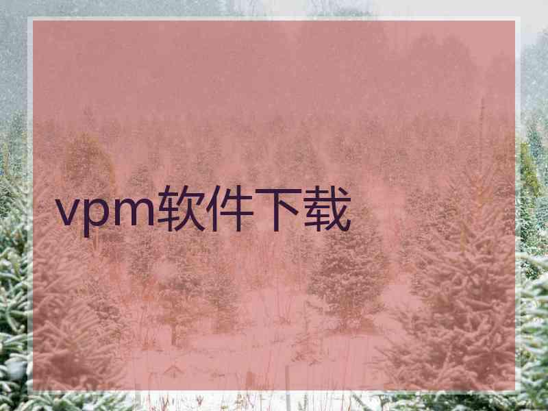 vpm软件下载