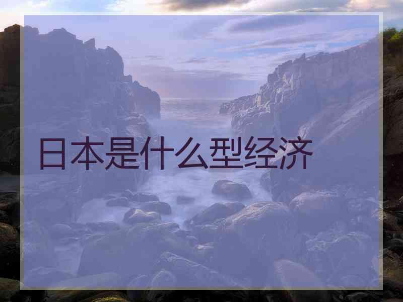 日本是什么型经济