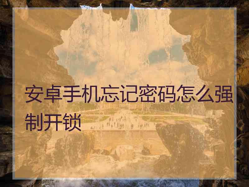 安卓手机忘记密码怎么强制开锁