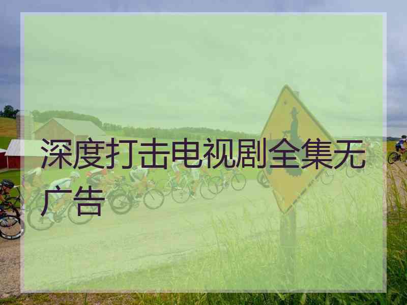 深度打击电视剧全集无广告