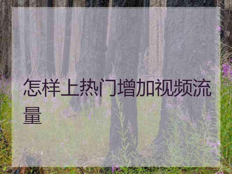 怎样上热门增加视频流量