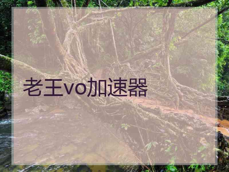 老王vo加速器