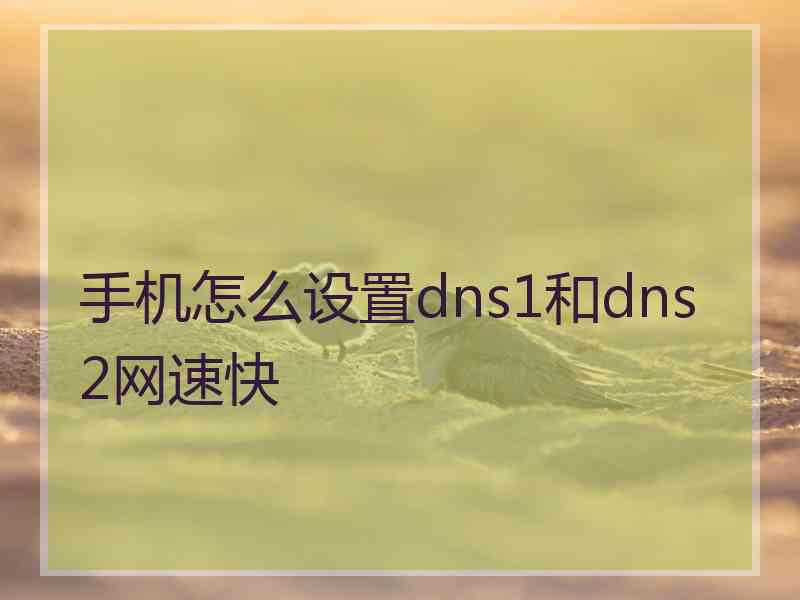 手机怎么设置dns1和dns2网速快