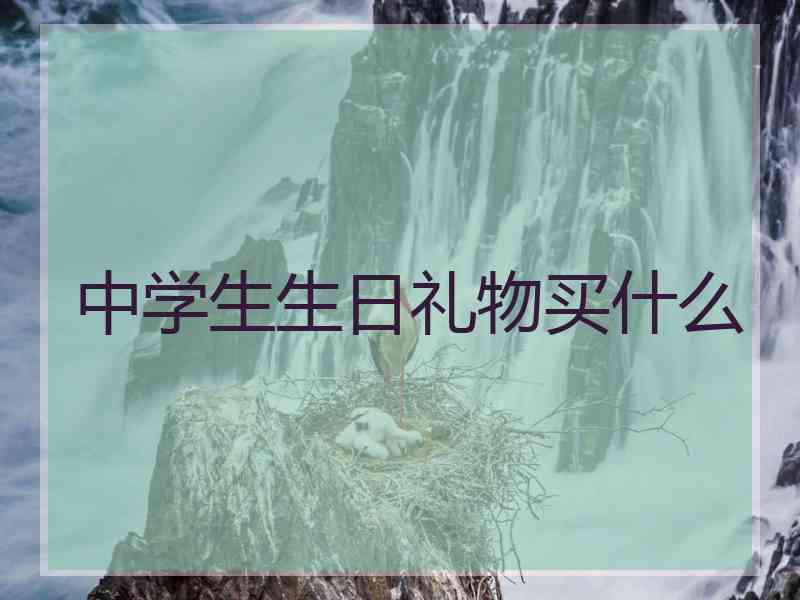 中学生生日礼物买什么