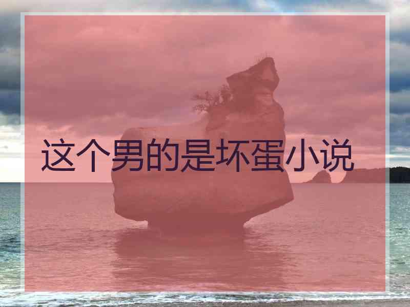 这个男的是坏蛋小说