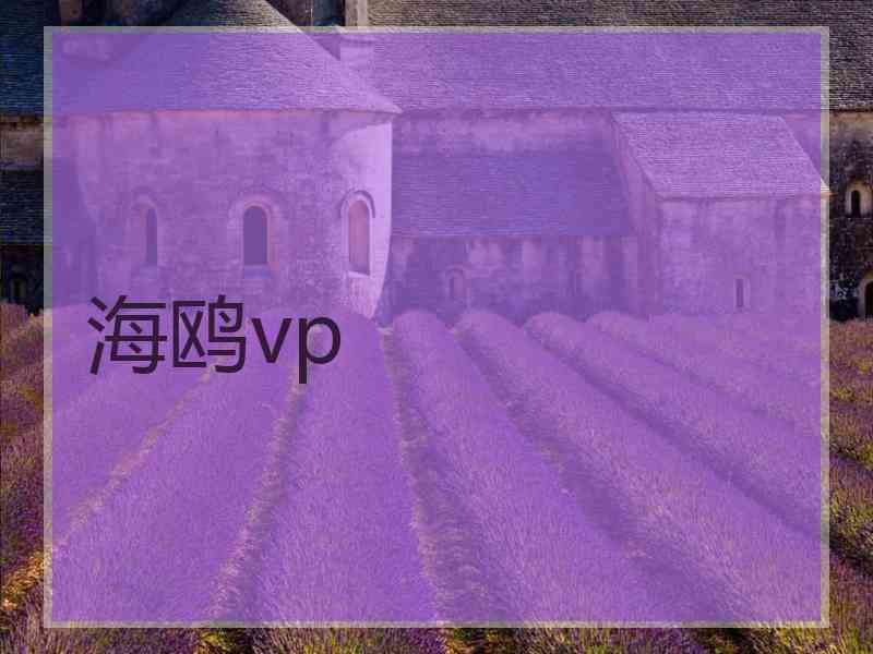 海鸥vp